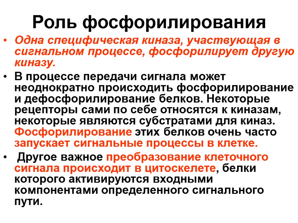 Роль фосфорилирования Одна специфическая киназа, участвующая в сигнальном процессе, фосфорилирует другую киназу. В процессе